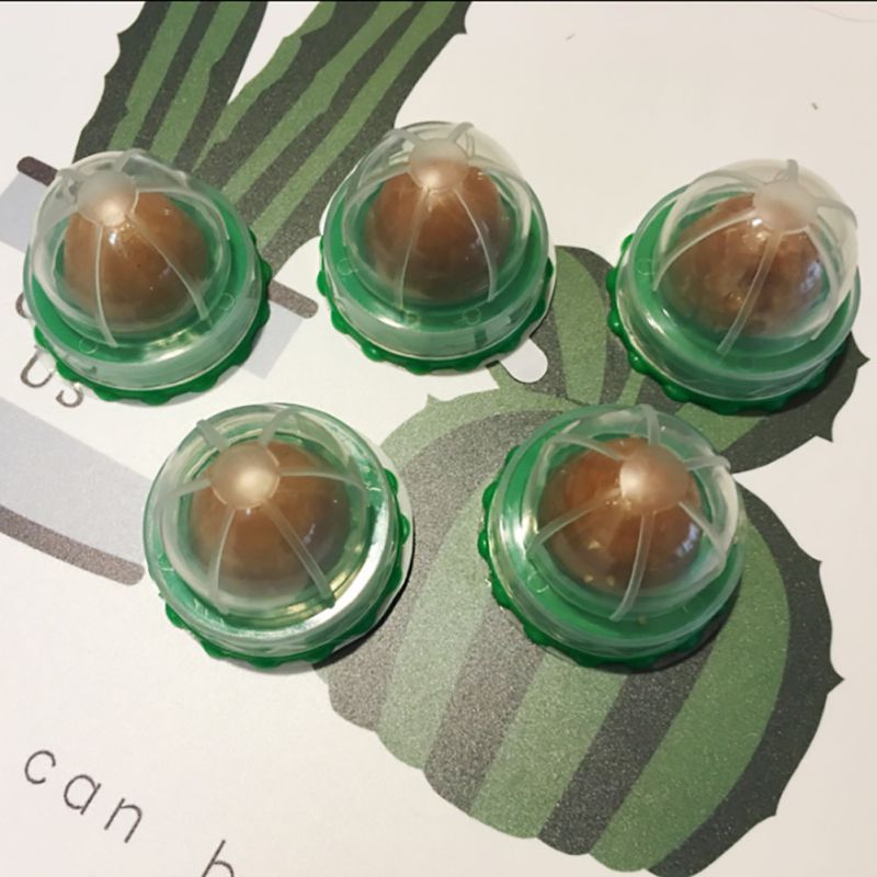 Healthy Catnip Snack