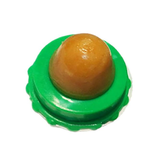 Healthy Catnip Snack