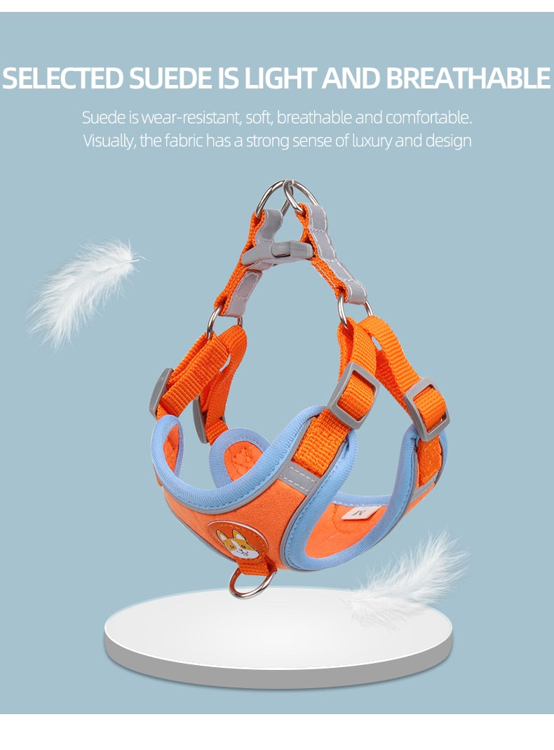 Cute Pet Harness and Leash Set