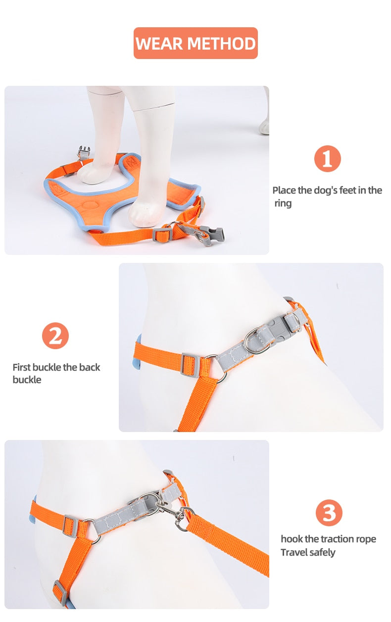 Cute Pet Harness and Leash Set