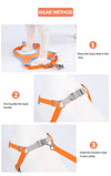 Cute Pet Harness and Leash Set