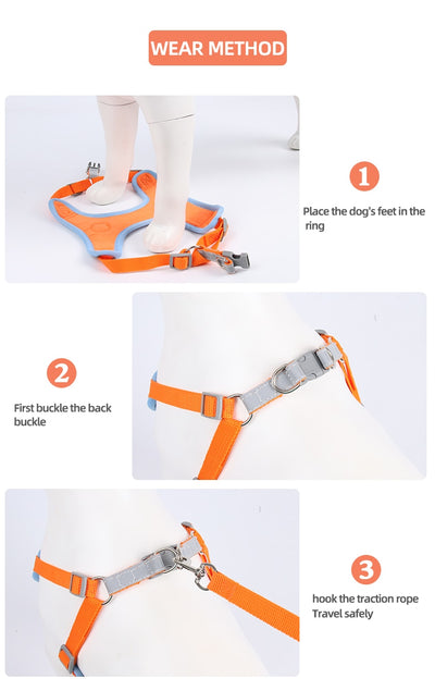 Cute Pet Harness and Leash Set