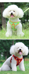 Cute Pet Harness and Leash Set