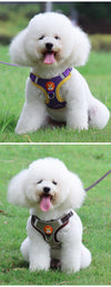 Cute Pet Harness and Leash Set