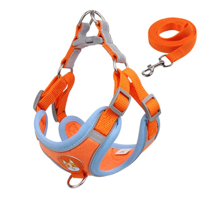 Cute Pet Harness and Leash Set