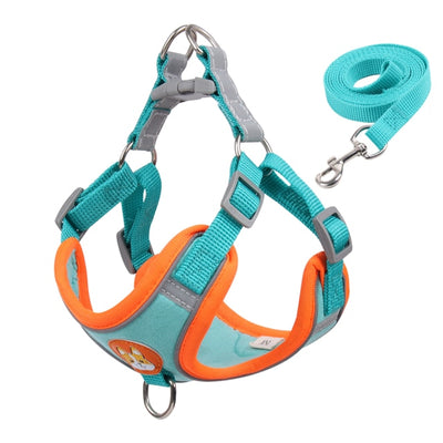 Cute Pet Harness and Leash Set