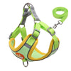 Cute Pet Harness and Leash Set