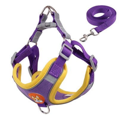 Cute Pet Harness and Leash Set