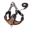 Cute Pet Harness and Leash Set