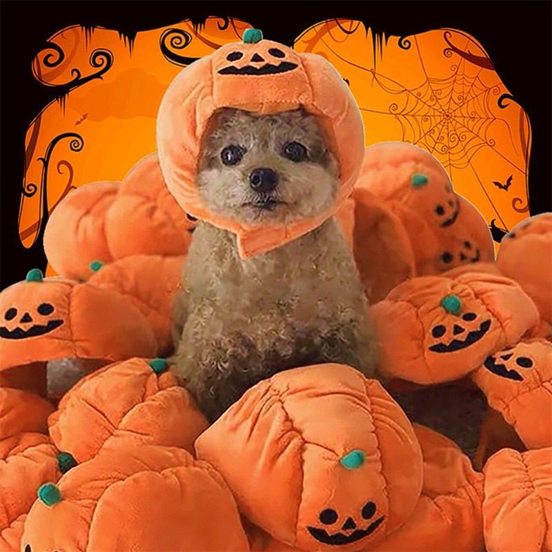 Pumpkin Hat Pet Costume