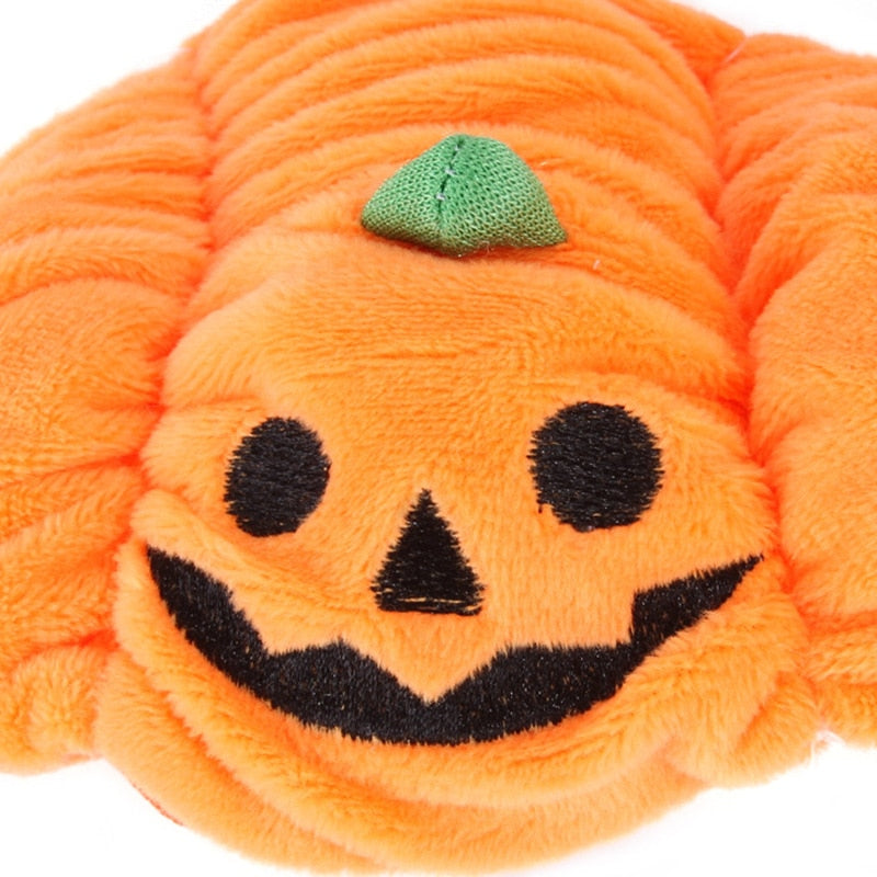 Pumpkin Hat Pet Costume
