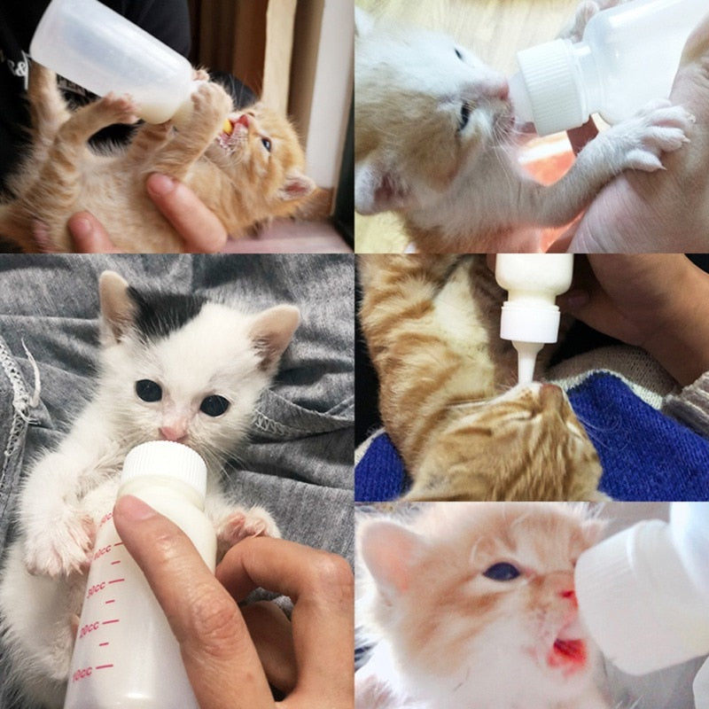 Young Pet Feeding Bottle Set