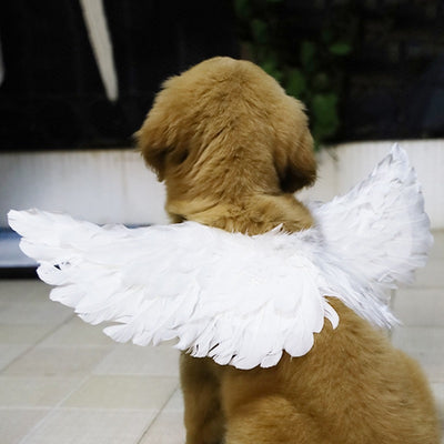 Feather Wings Halloween Costume