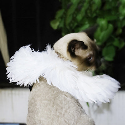 Feather Wings Halloween Costume