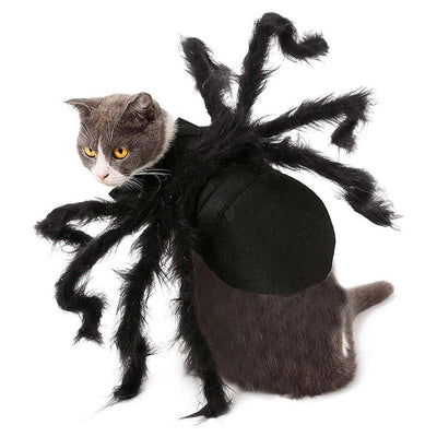 Spider Halloween Costume