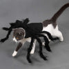 Spider Halloween Costume