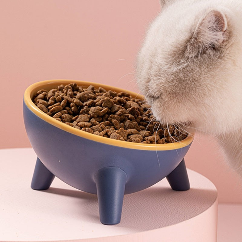 15 Degrees Elevated Pet Bowl