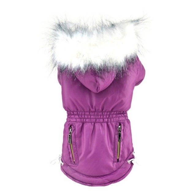 Winter Hooded Dog Parka