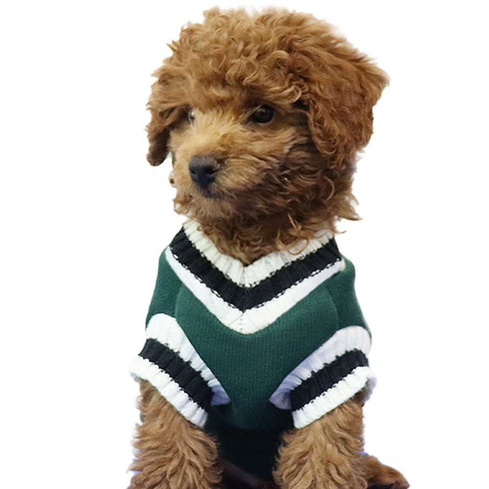 Preppy Dog Sweater