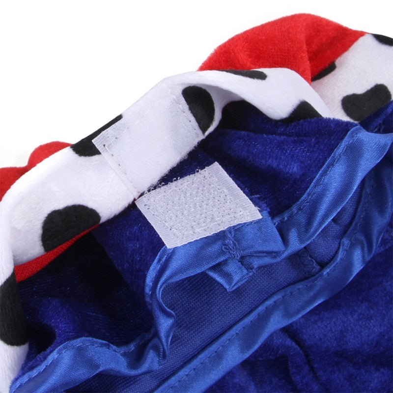 King Cape Halloween Costume