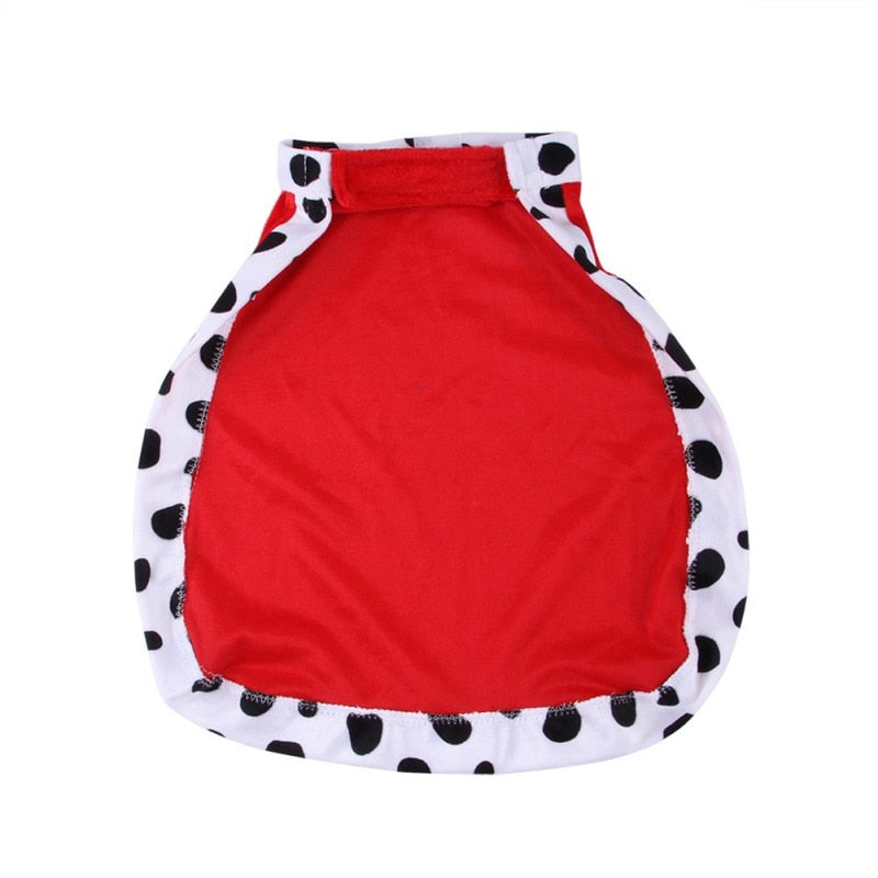 King Cape Halloween Costume