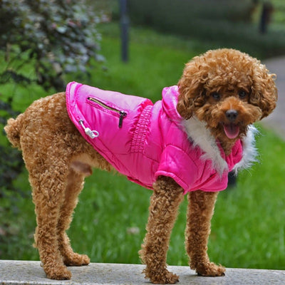 Winter Hooded Dog Parka