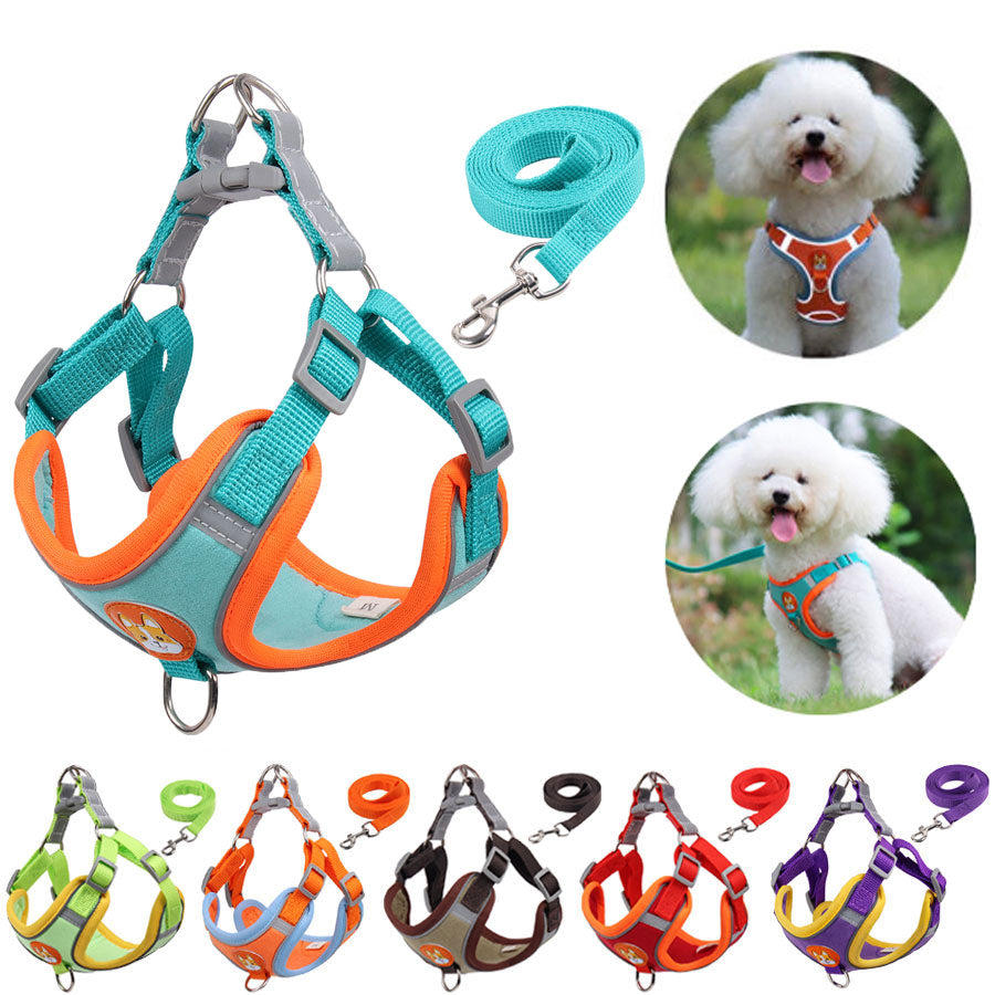 Cute Pet Harness and Leash Set
