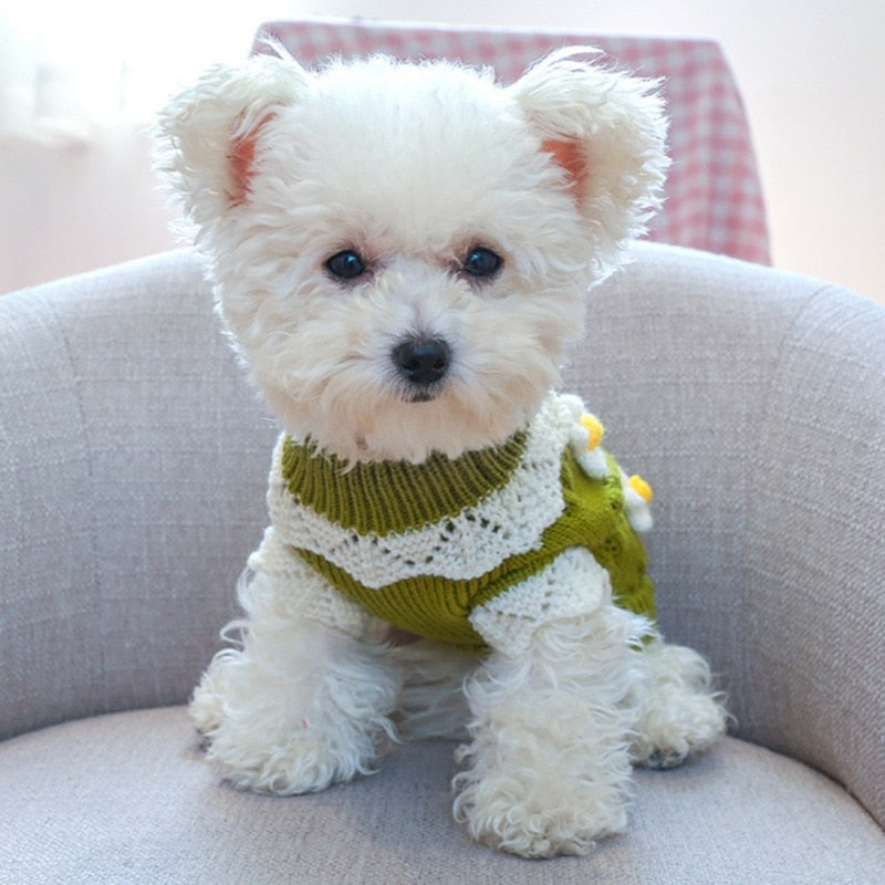 Daisy Wool Pet Sweater