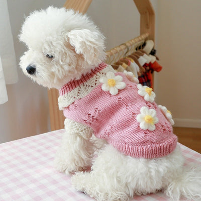 Daisy Wool Pet Sweater