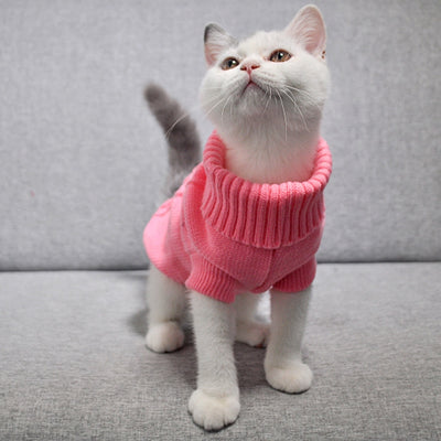 Turtleneck Knitted Pet Sweater