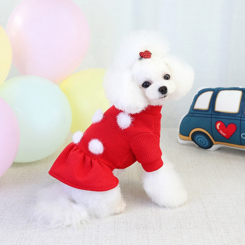 Pompom Sweater Dog Dress