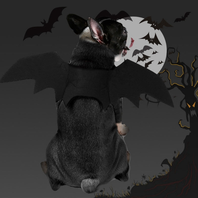 Bat Wing Halloween Costume
