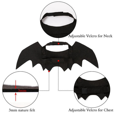 Bat Wing Halloween Costume