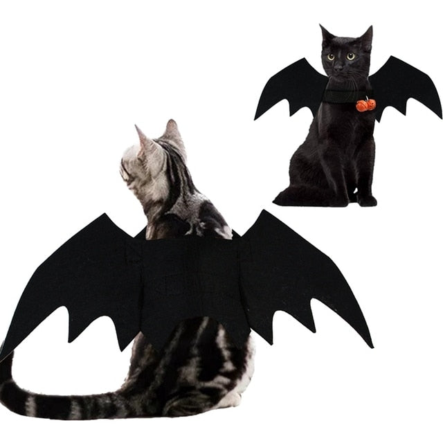 Bat Wing Halloween Costume