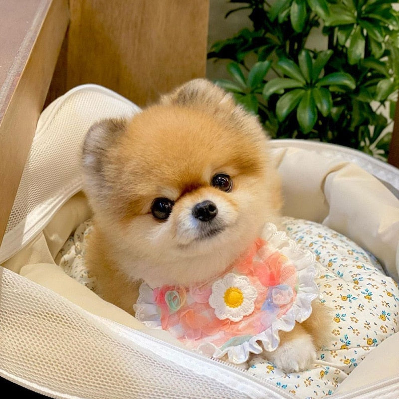 Adorable Dog Bib