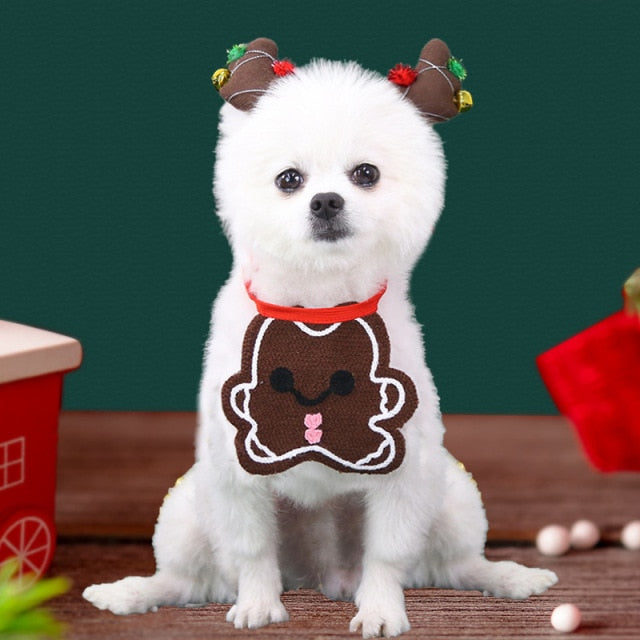 Holiday Dog Bib