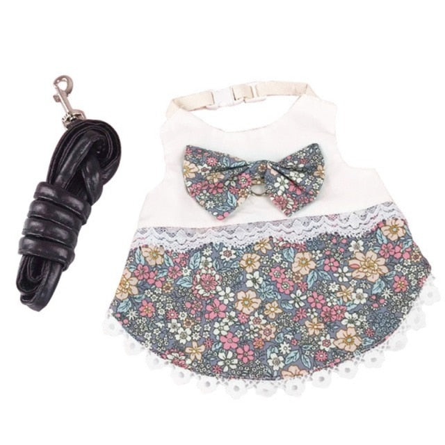 Small Pet Gray Dress with Leash