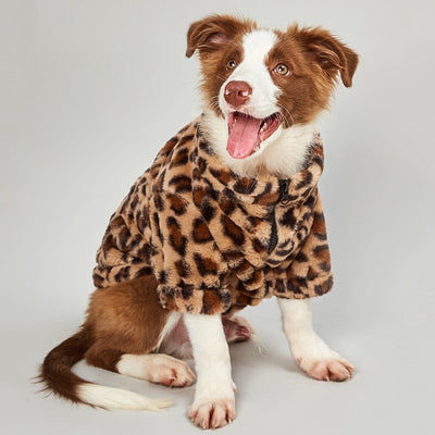 Leopard Print Dog Sweater