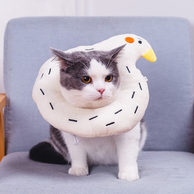 Food Shaped Pet Collar