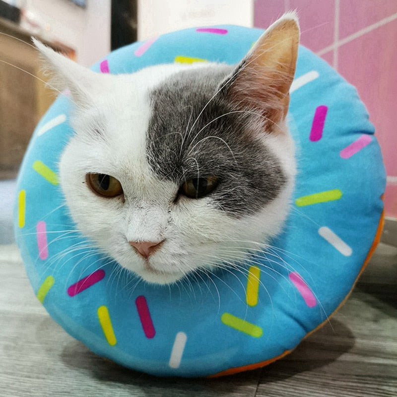 Donut Recovery Cat Collar