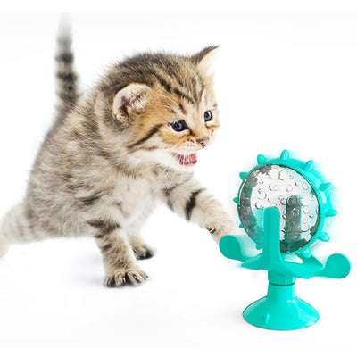 Ferris Wheel Feeding Toy