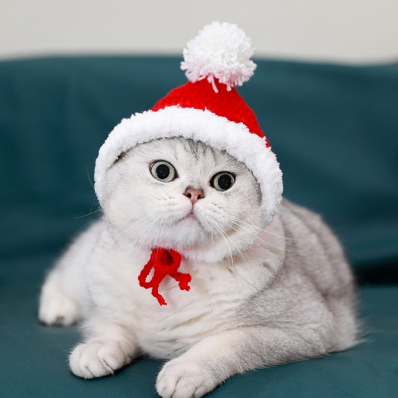 Adorable Knitted Christmas Hat