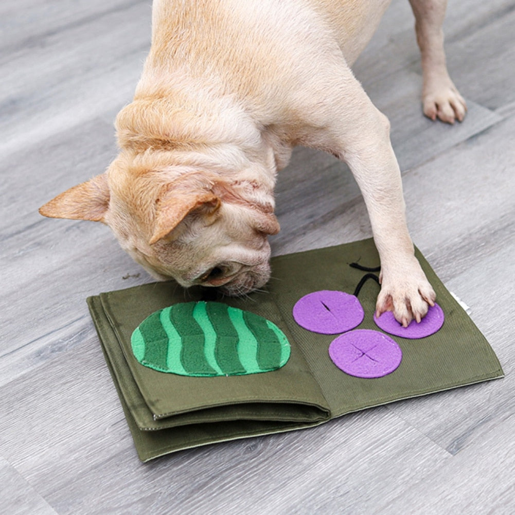 Book Sniffing Mat Toy