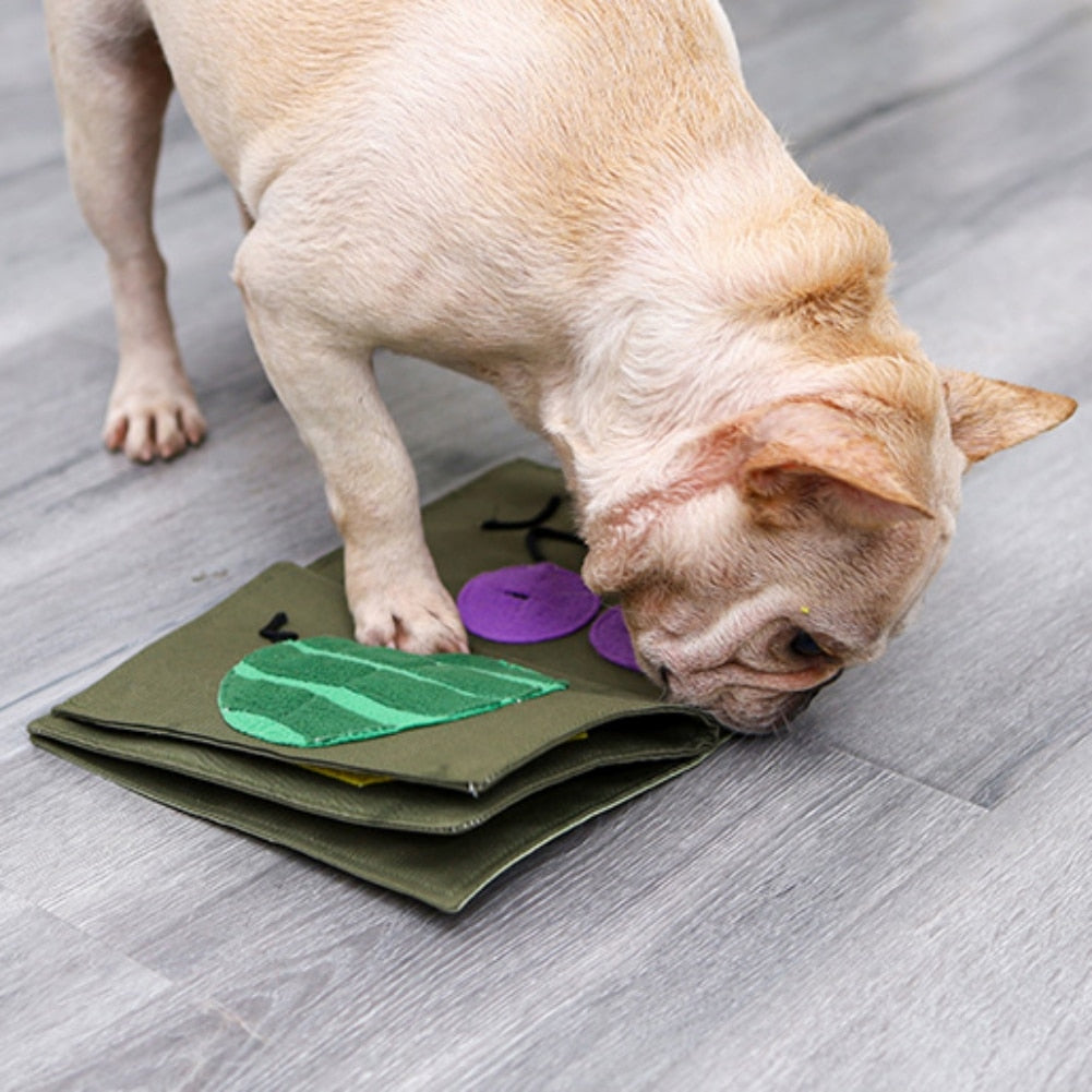 Book Sniffing Mat Toy