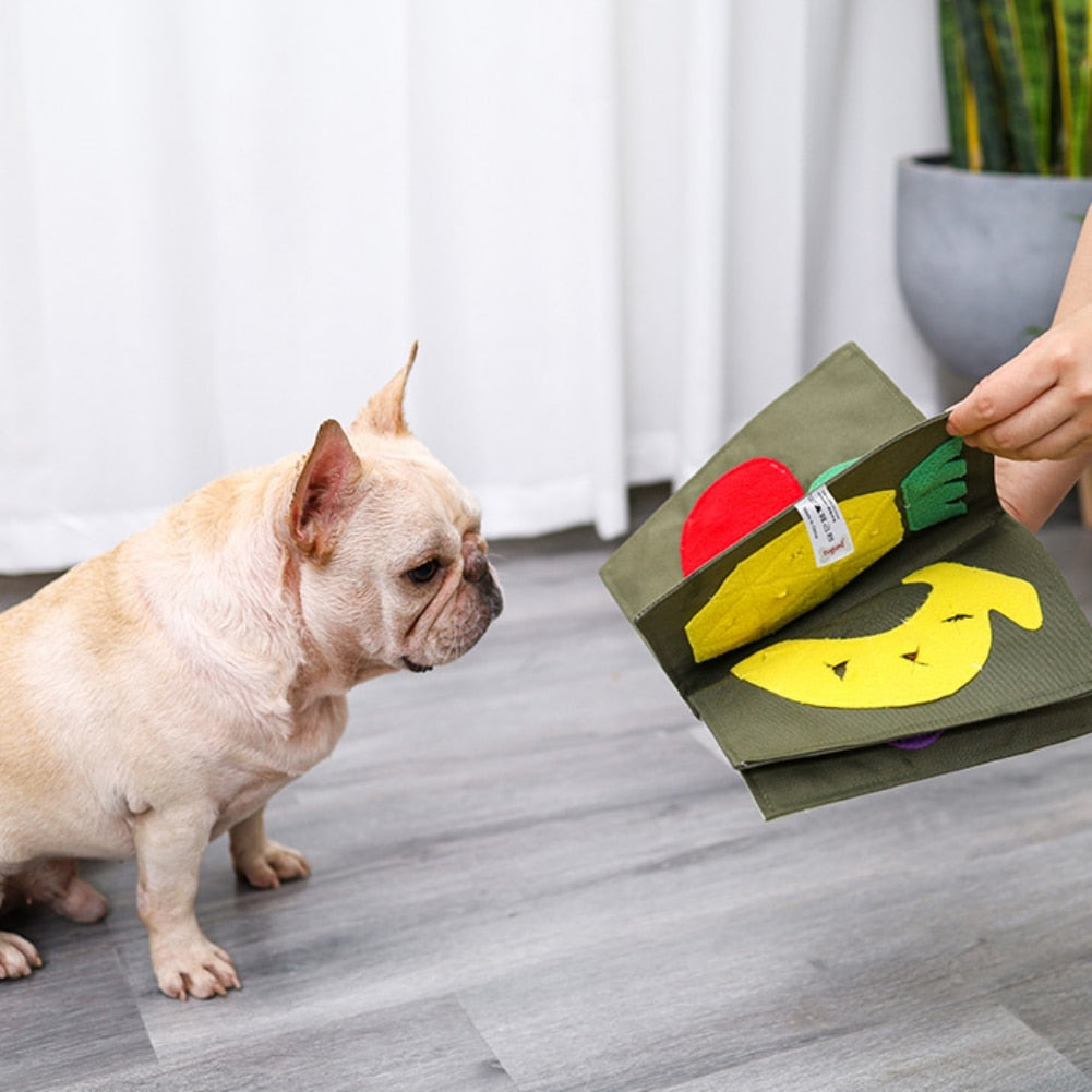Book Sniffing Mat Toy