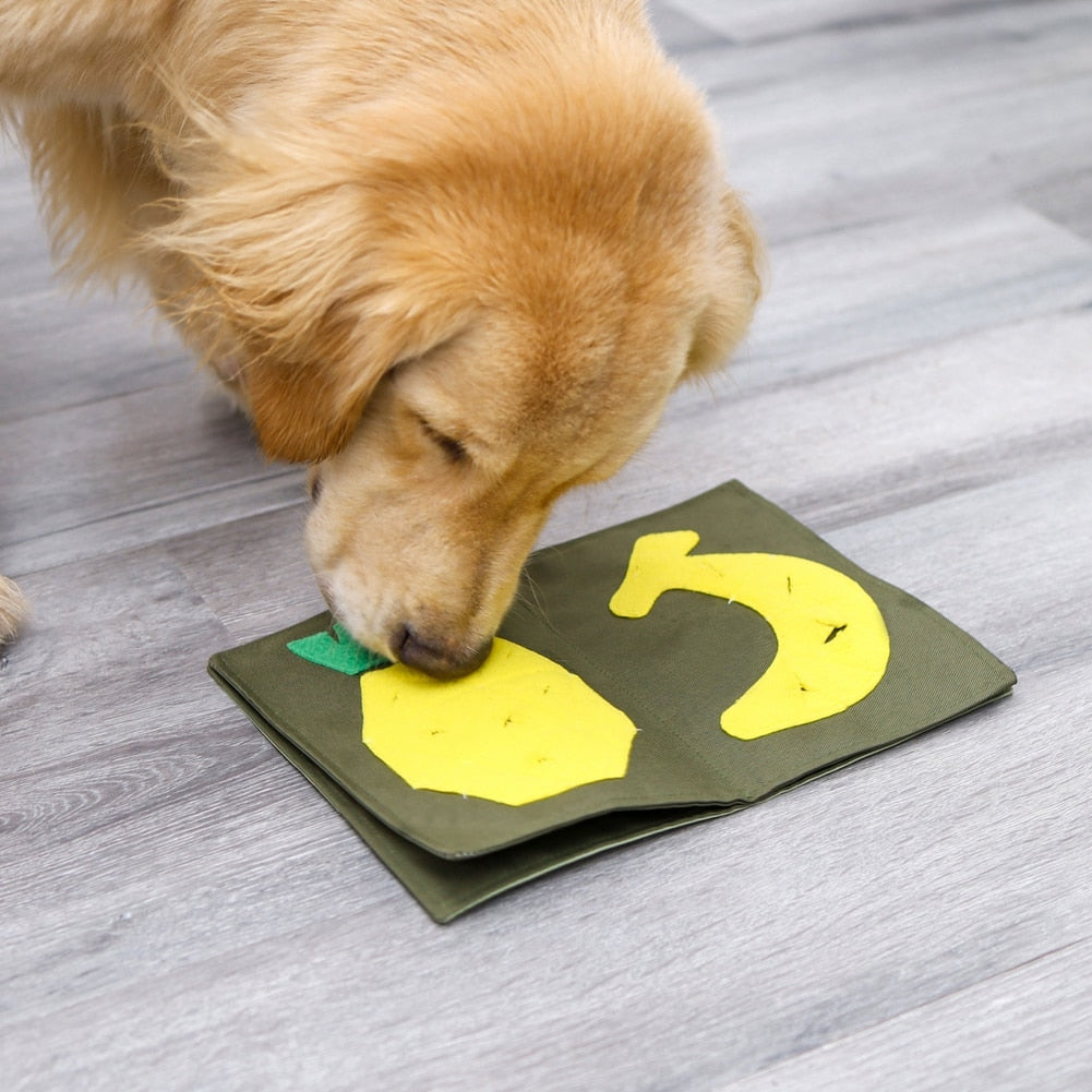 Book Sniffing Mat Toy